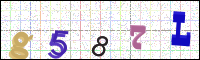 Image Verification